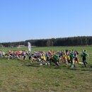 biegikwi 15